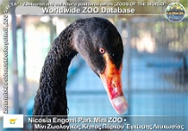 wzd_01603