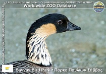 wzd_01607