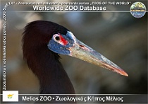 wzd_01608