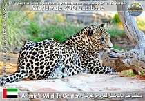 wzd_01613