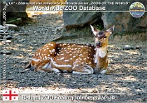 wzd_01615