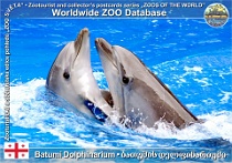wzd_01618