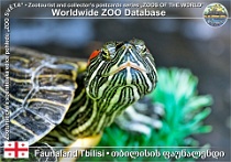wzd_01621