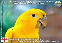 wzd_01622