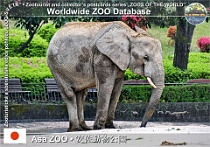 wzd_01626