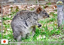 wzd_01630