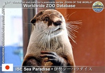 wzd_01631