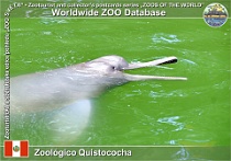 wzd_01638