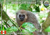 wzd_01639