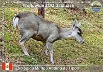 wzd_01642