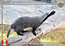 wzd_01646