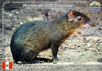 wzd_01648