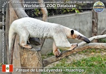 wzd_01650