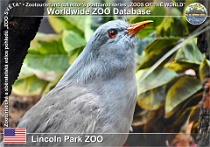 wzd_01651