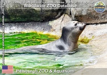 wzd_01654