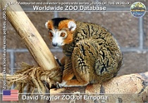 wzd_01656
