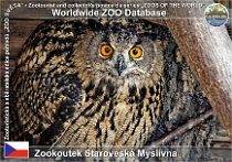 wzd_01661
