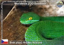 wzd_01663