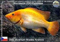 wzd_01664