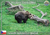 wzd_01666