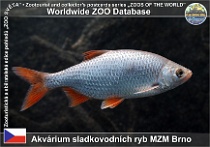 wzd_01668