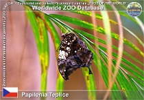 wzd_01670