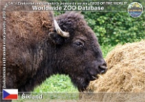 wzd_01673