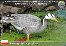 wzd_01682