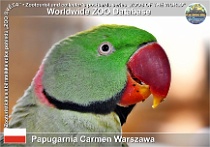 wzd_01685