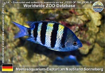wzd_01691
