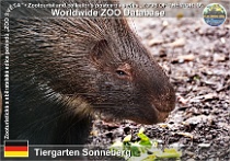 wzd_01692