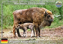 wzd_01695