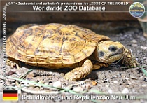 wzd_01697