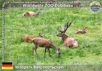 wzd_01699
