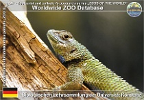 wzd_01701