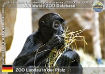 wzd_01704