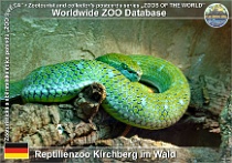 wzd_01705