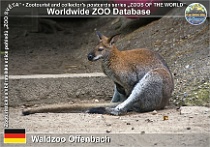wzd_01706