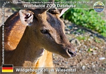 wzd_01710