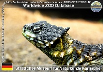 wzd_01712