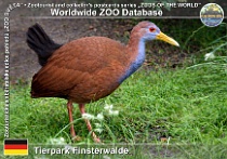 wzd_01715