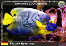 wzd_01716