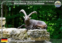 wzd_01717