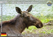 wzd_01719