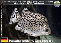 wzd_01721