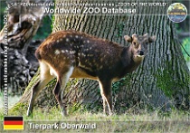 wzd_01722