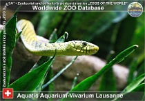 wzd_01728