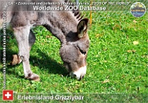 wzd_01729