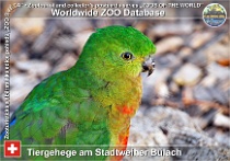 wzd_01730