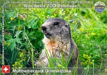 wzd_01731
